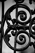 Wall_Art_Alphabet_Photography_Art_ 392